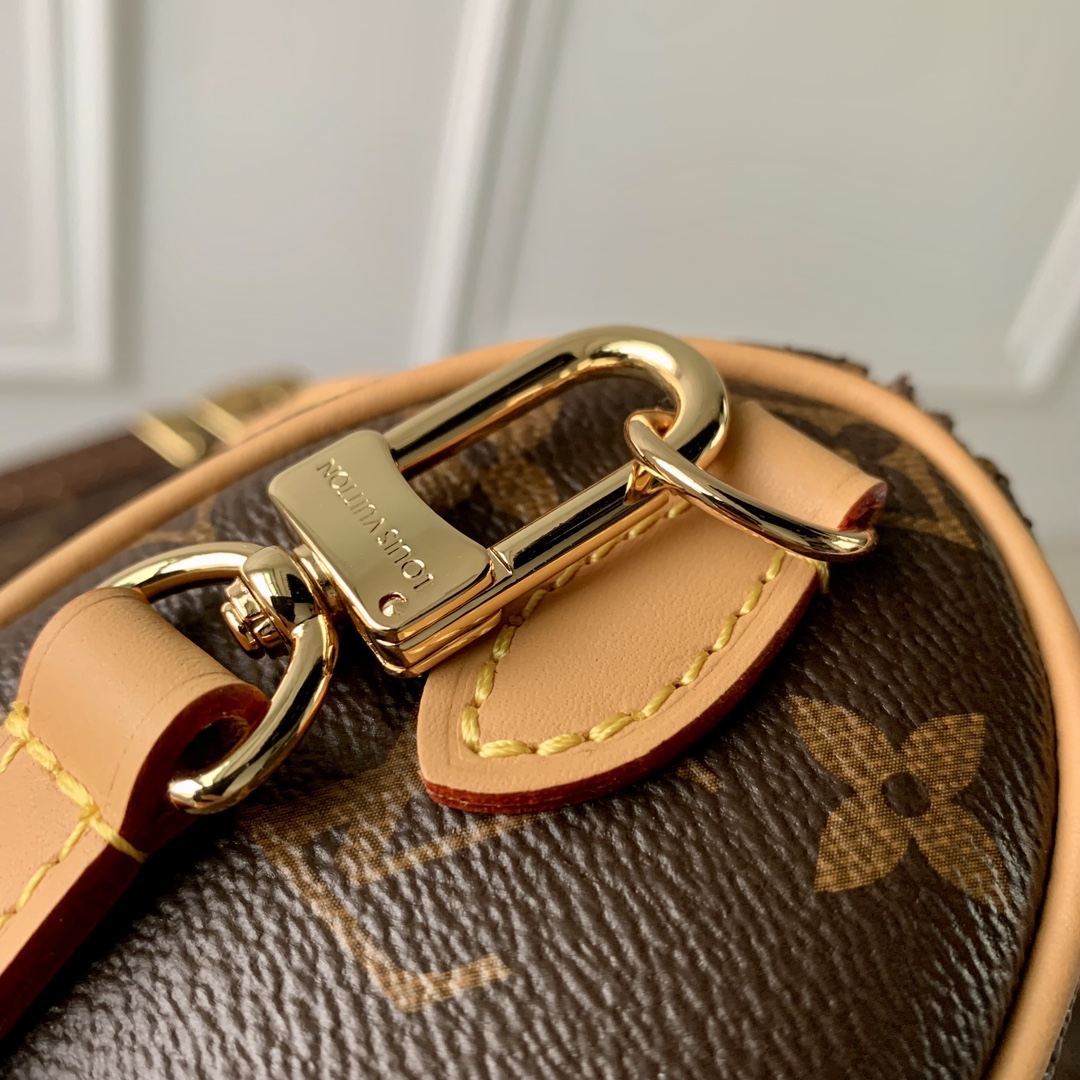 LV Speedy Bags